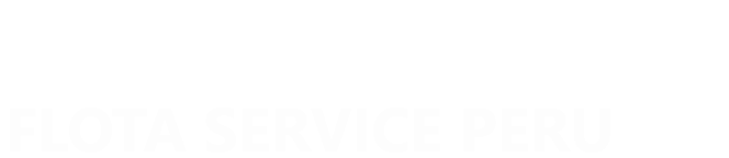 Flota Service logo